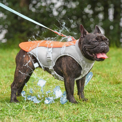 Cooling Dog Vest