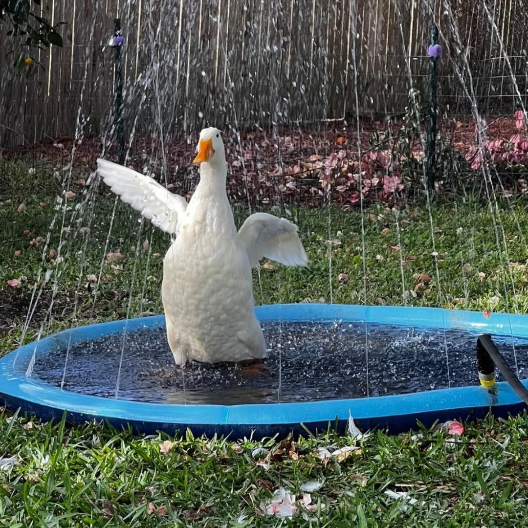 Summer Sprinkler Dog Pool