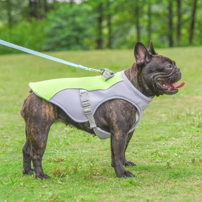 Cooling Dog Vest