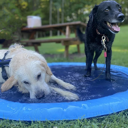 Summer Sprinkler Dog Pool